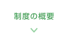 制度の概要